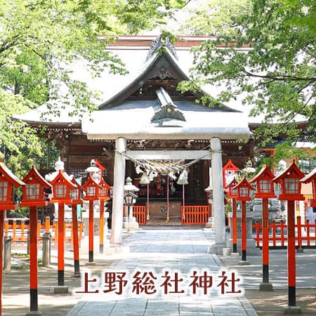 和装花嫁白無垢色打掛