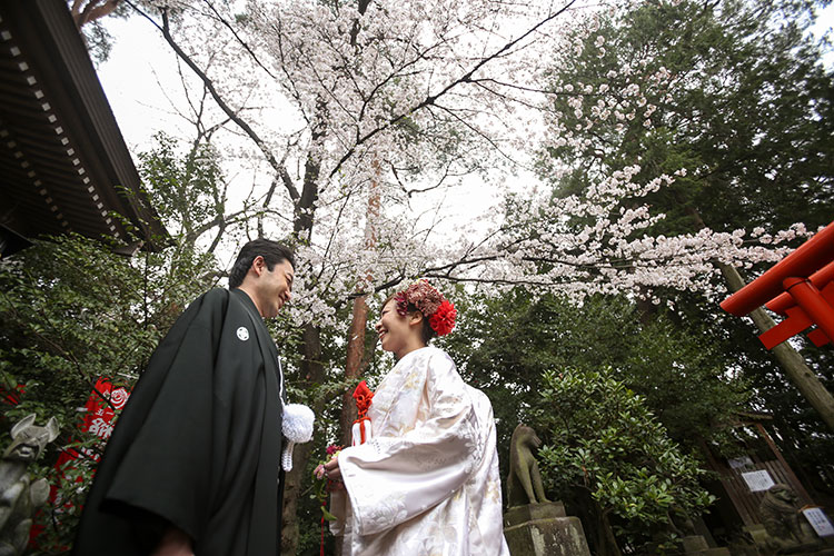 群馬桜和婚神社結婚式