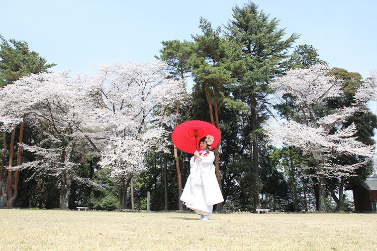 群馬桜和婚神社結婚式