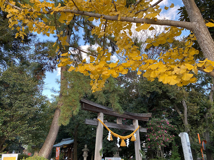 群馬和婚神前式神社結婚式