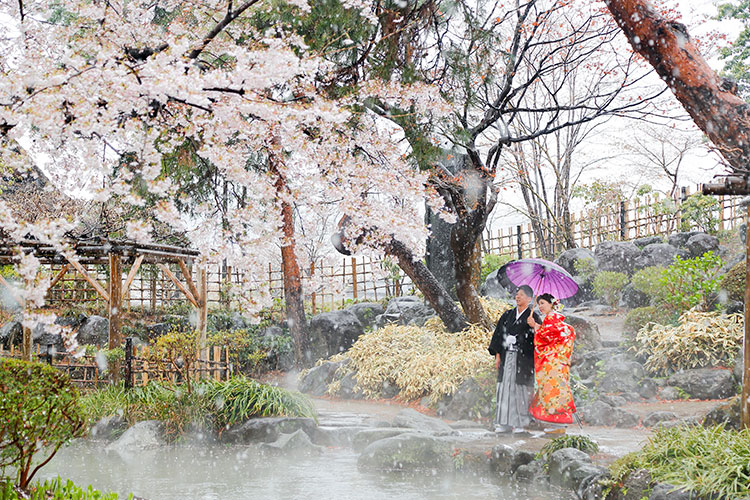 群馬和婚少人数結婚式