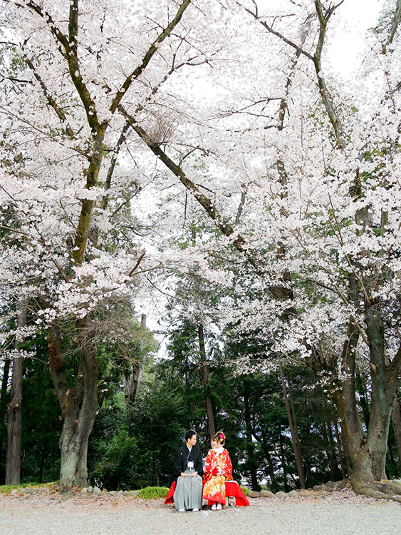 桜和婚神社結婚式