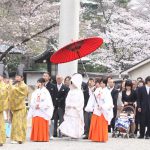 桜・花嫁結婚式群馬県和婚神前式