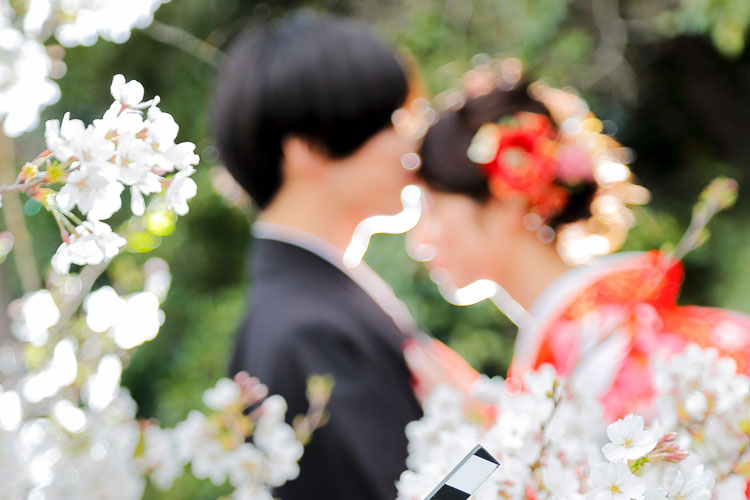 桜・花嫁結婚式群馬県和婚神前式