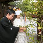 群馬和婚少人数家族結婚式