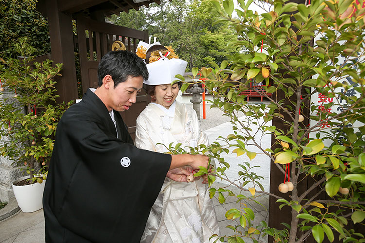 群馬和婚少人数家族結婚式