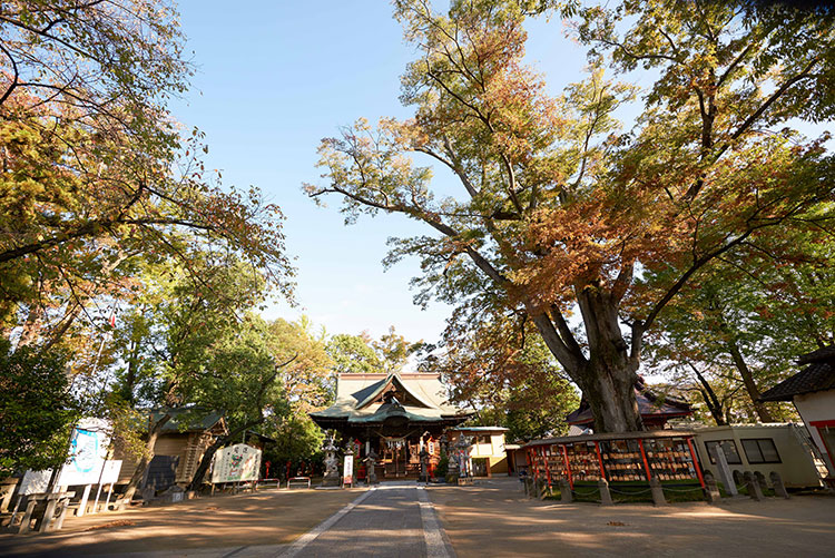 上野総社神社結婚式