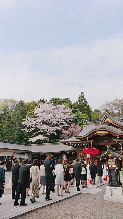 群馬県進雄神社桜結婚式