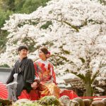 桜の時期に神社結婚式格安プラン