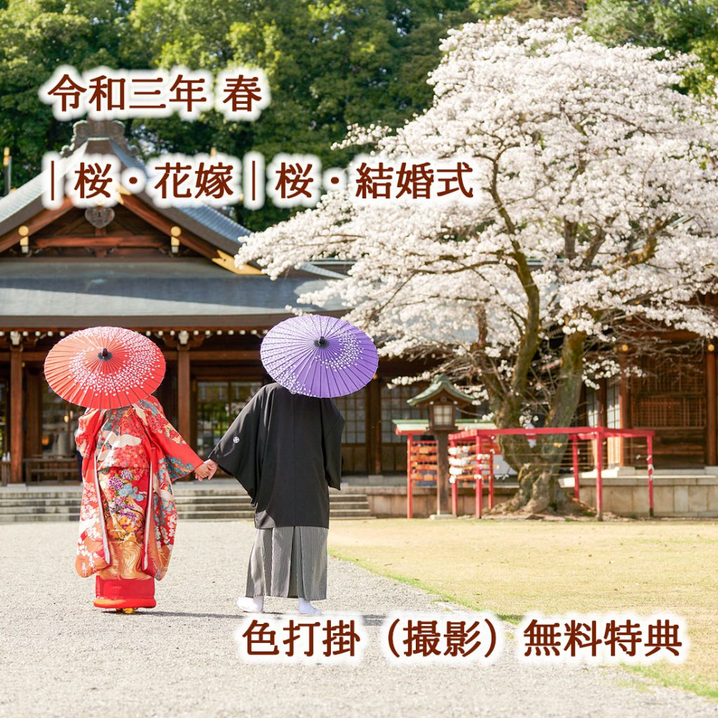 桜の時期に神社結婚式格安プラン