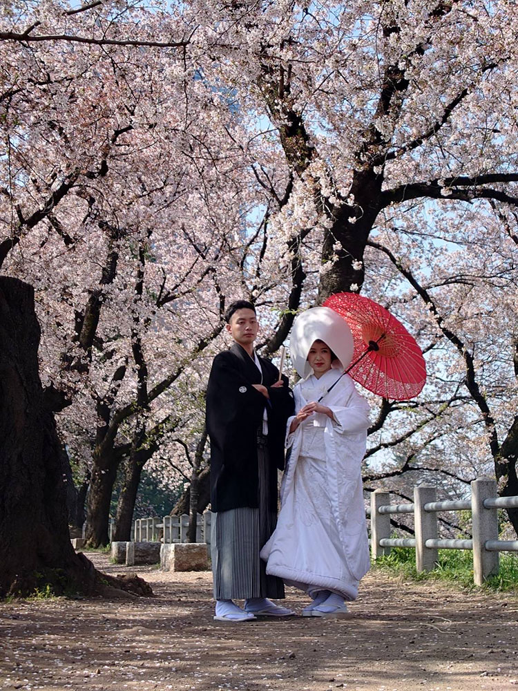 前橋東照宮桜結婚式