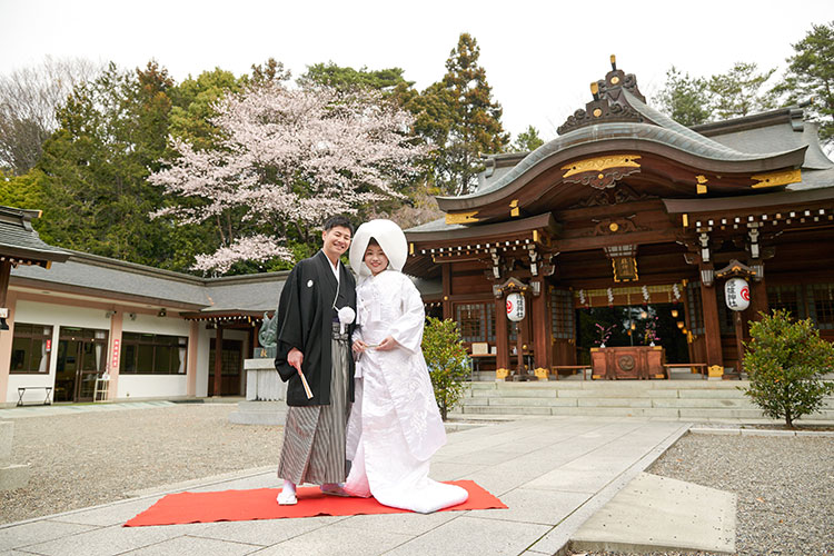 桜時期神社結婚式格安プラン