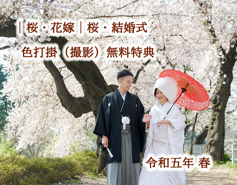 桜時期神社結婚式格安プラン