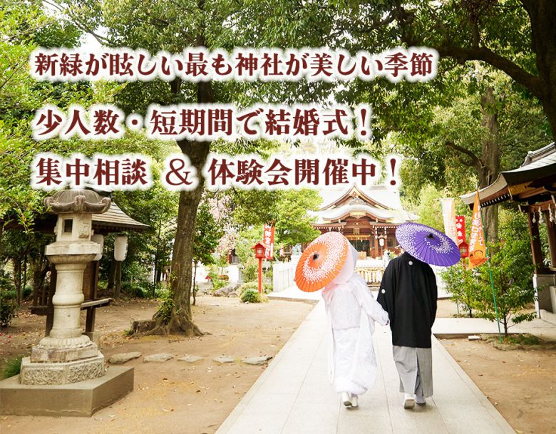 短期間で計画する神社結婚式