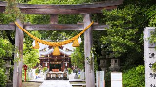 緑が映える進雄神社で神前式