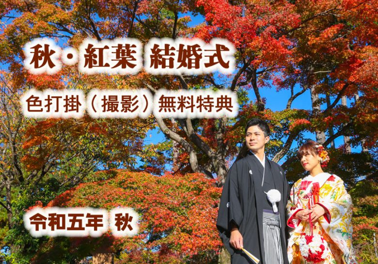 秋の紅葉神社結婚式