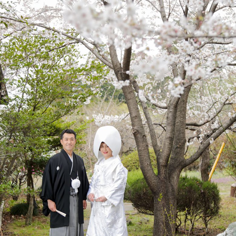 2025桜神社結婚式