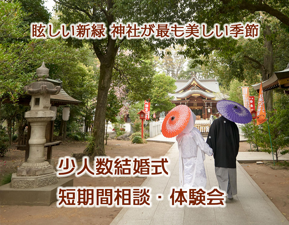 2024新緑の神社で少人数結婚式