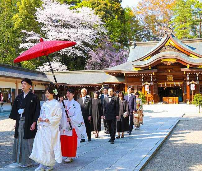 2027年令和九年春の桜結婚式