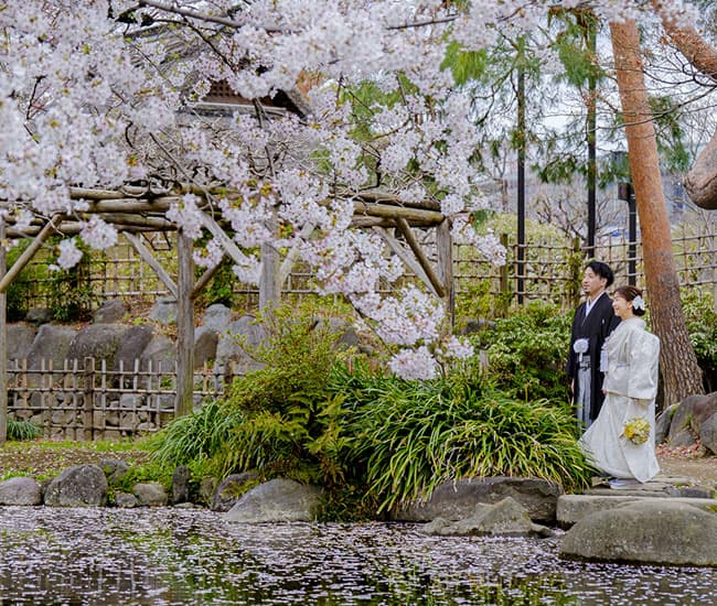 2027年・令和九年・春の桜結婚式