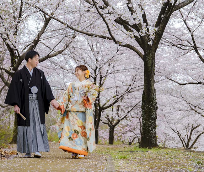 2027年・令和九年・春の桜結婚式臨江閣日本庭園