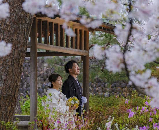 2027年・令和九年・春の桜結婚式