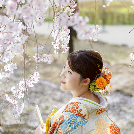 桜・臨江閣日本庭園＋前橋東照宮＋ヴォレ・シーニュ