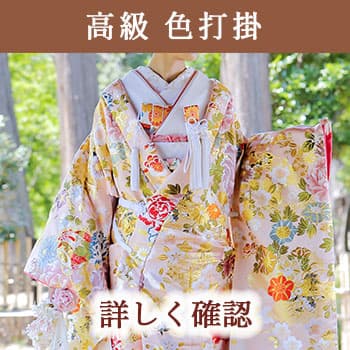 白無垢色打掛綿帽子角隠し