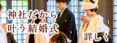 白無垢色打掛を格安で利用