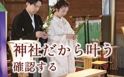 白無垢色打掛を格安で利用