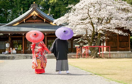 群馬県和装桜結婚式神前式