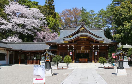 群馬県和装桜結婚式神前式