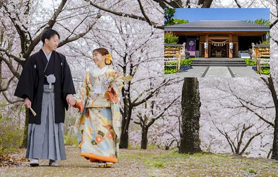 群馬県和装桜結婚式神前式