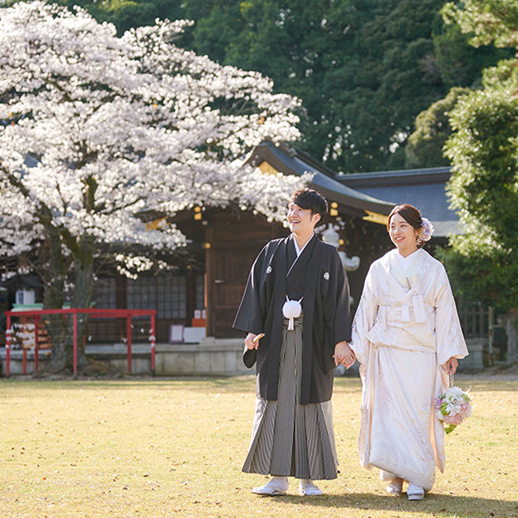 桜・花嫁・桜神前結婚式