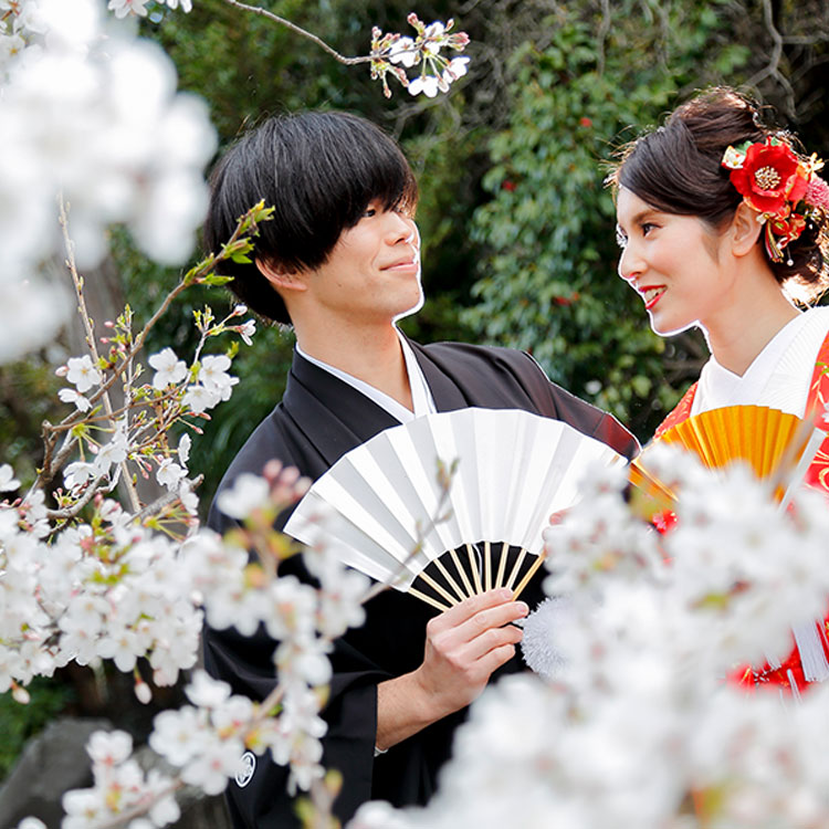 桜・花嫁・桜神前結婚式