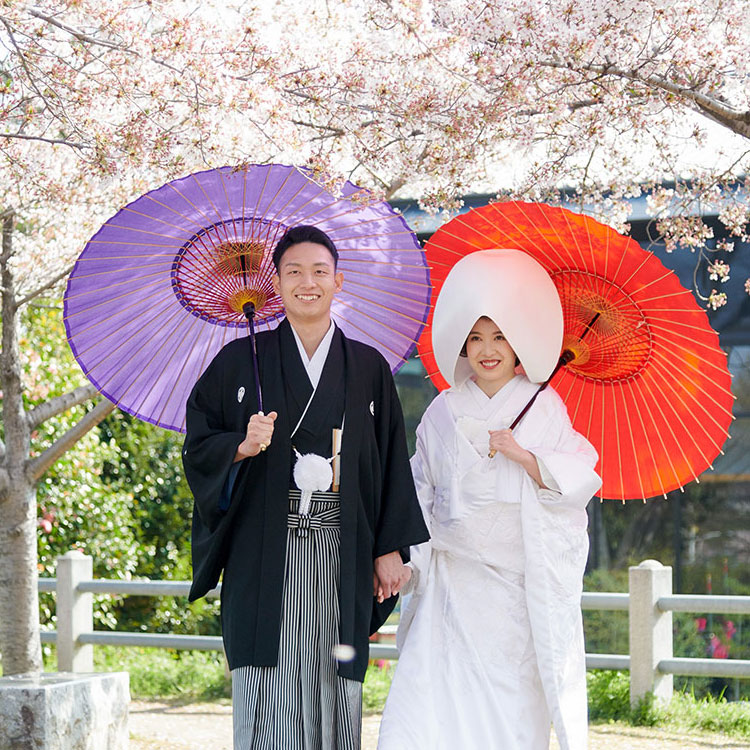 桜・花嫁・桜神前結婚式