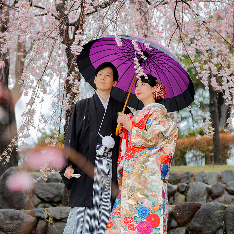 桜・花嫁・桜神前結婚式