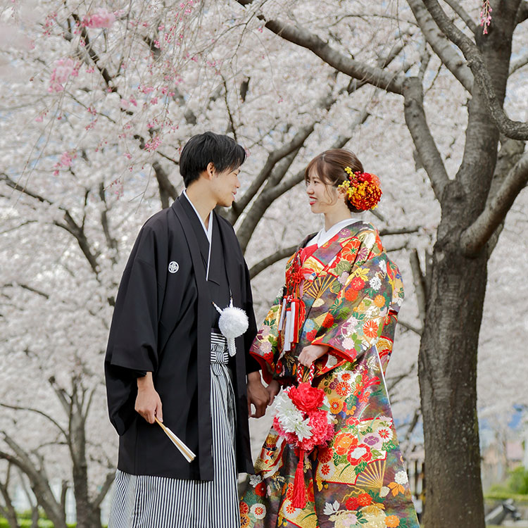 桜・花嫁・桜神前結婚式