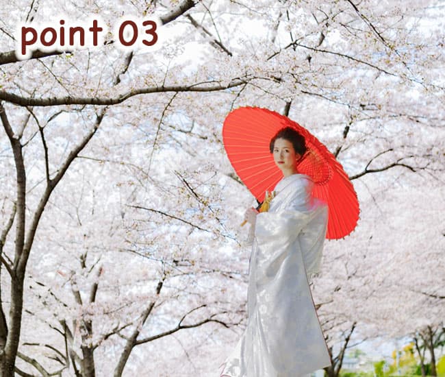 群馬県和装桜結婚式神前式
