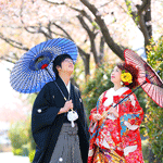 上野総社神社結婚式桜