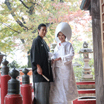 上野総社神社結婚式紅葉