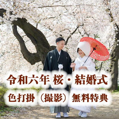 2024年桜特別プラン結婚式