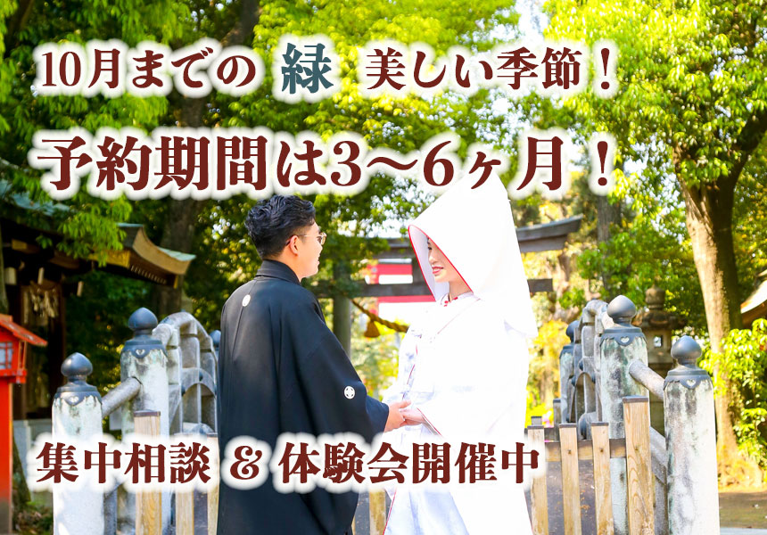 神前式だけ